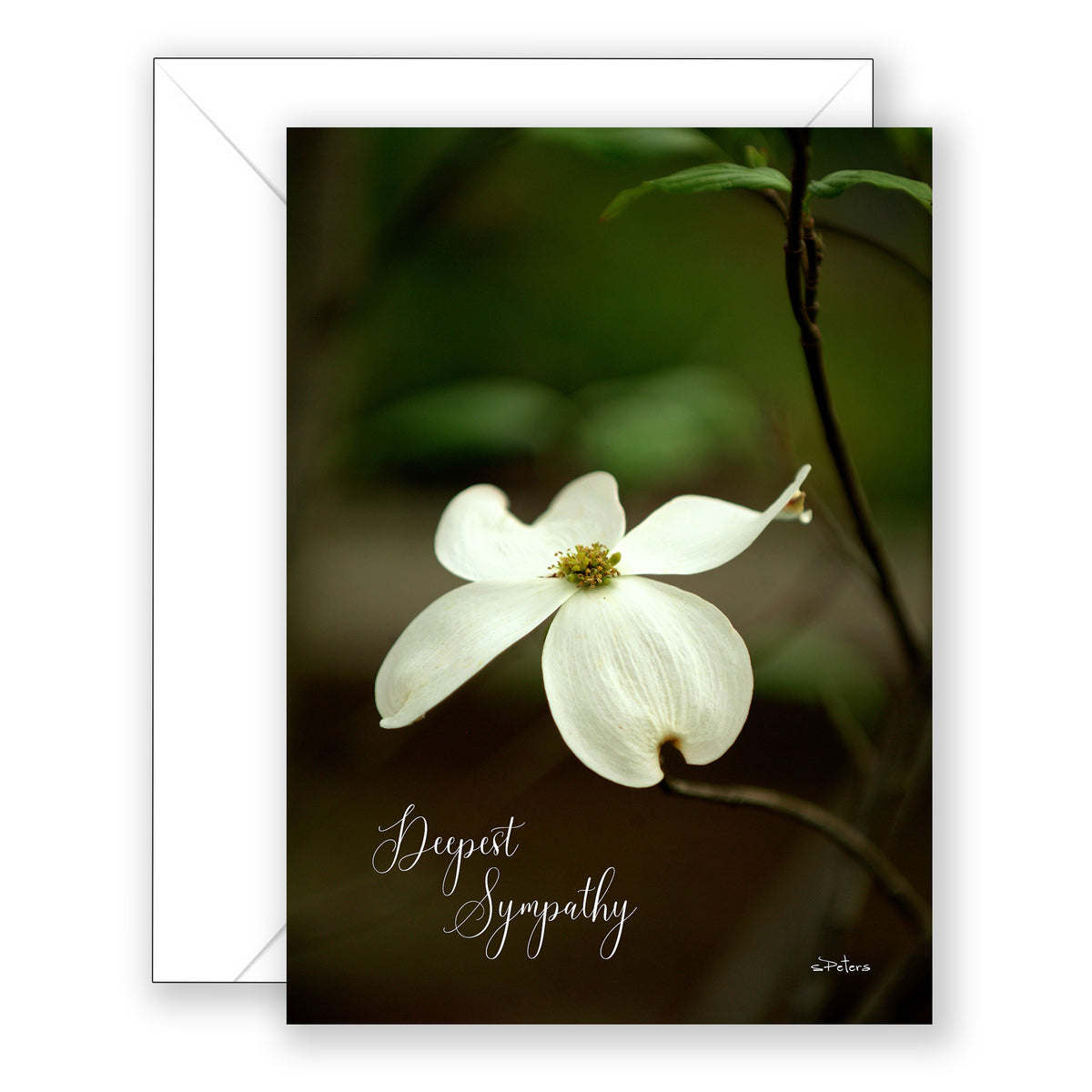 Dogwood-front_1200x1200.jpg?v=