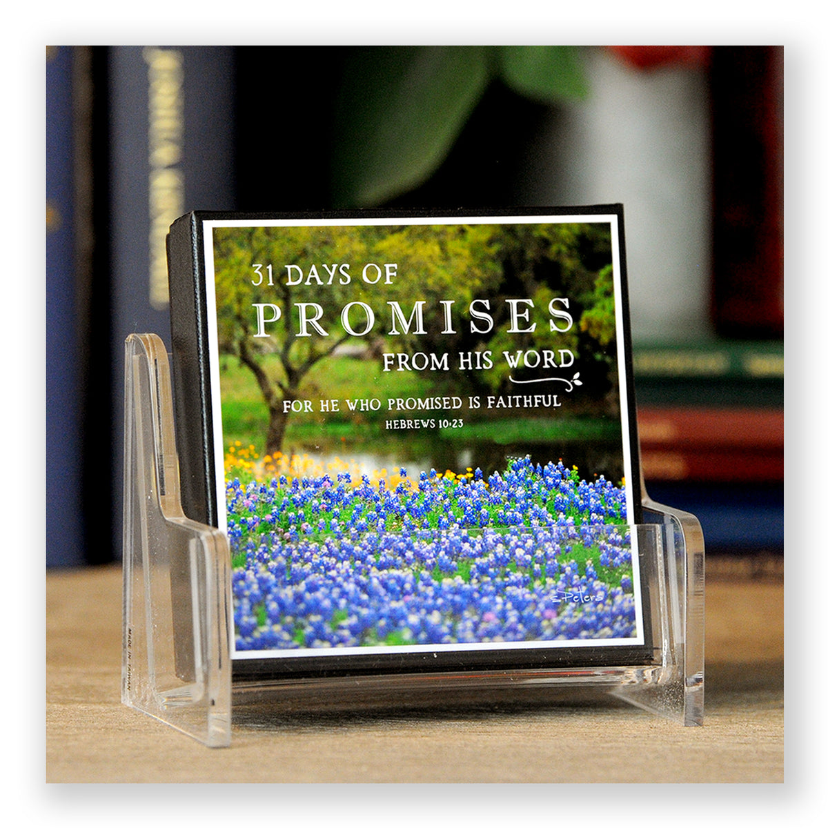 31 Days of Promises Boxed Mini Print Collection w Acrylic Holder ...
