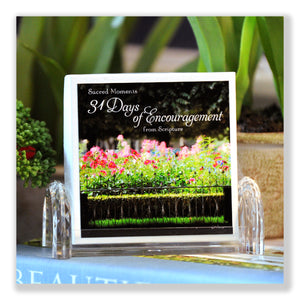 31 Days of Encouragement Boxed Mini Print Collection w Acrylic Holder