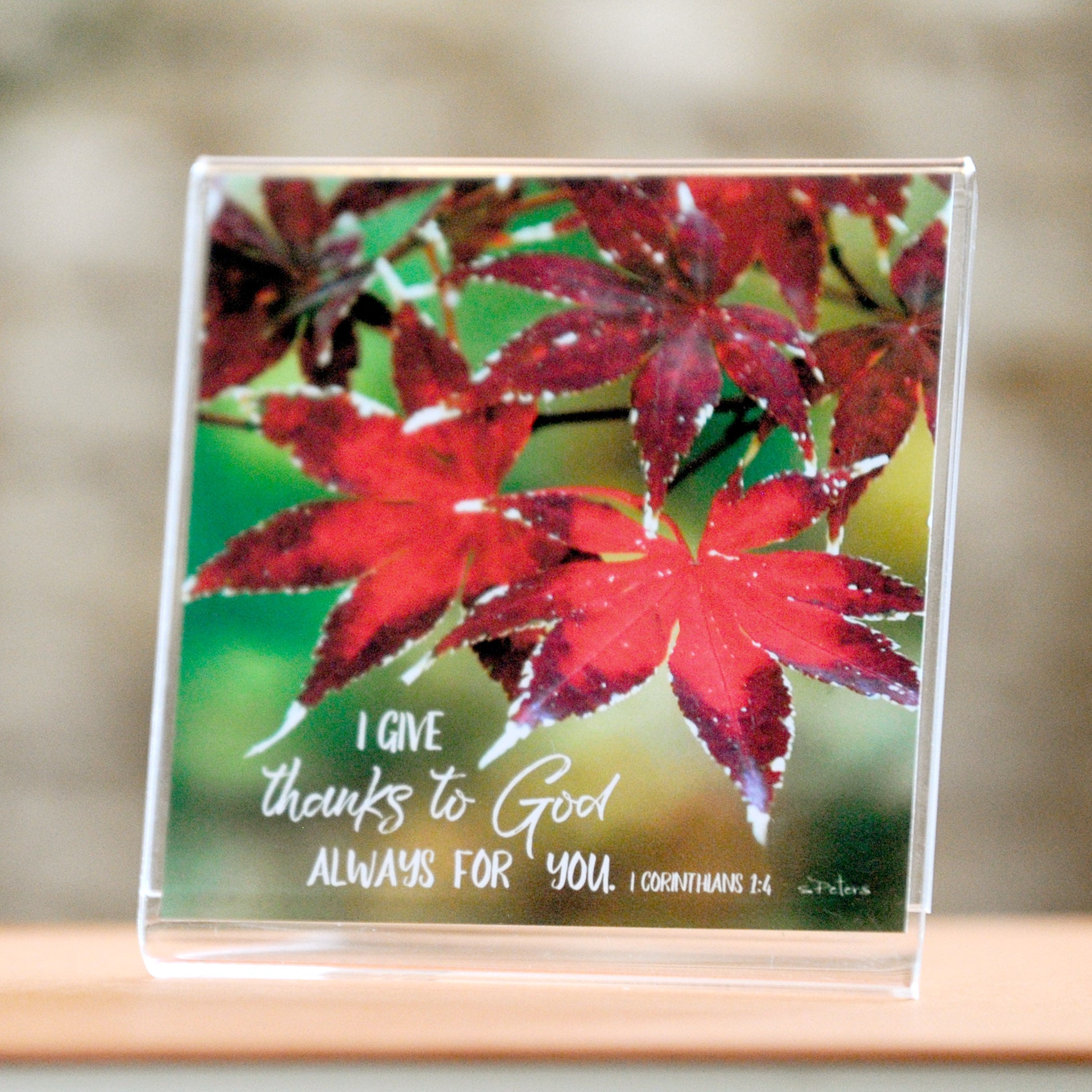Autumn Color (1 Cor 1:4) - Framed Mini Print