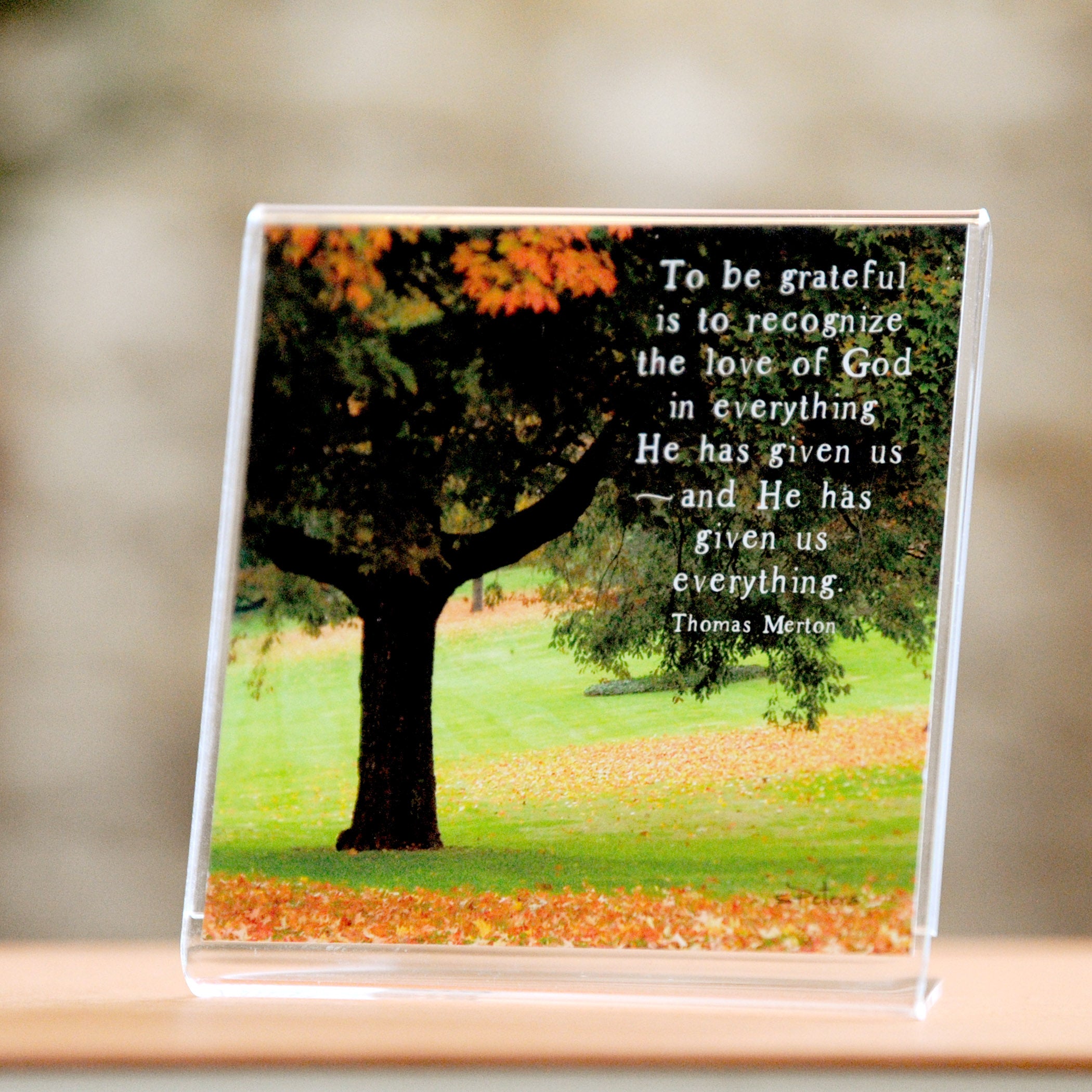 Autumn Grove- Framed Mini Print