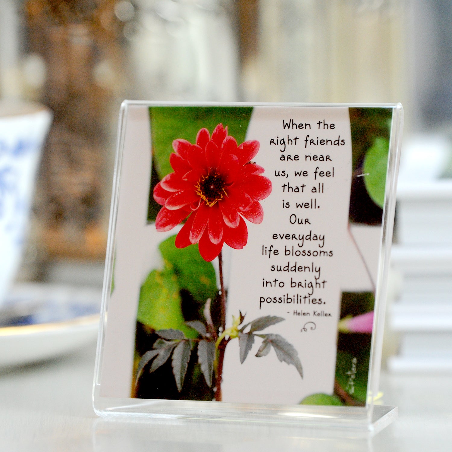 Bright Possibilities