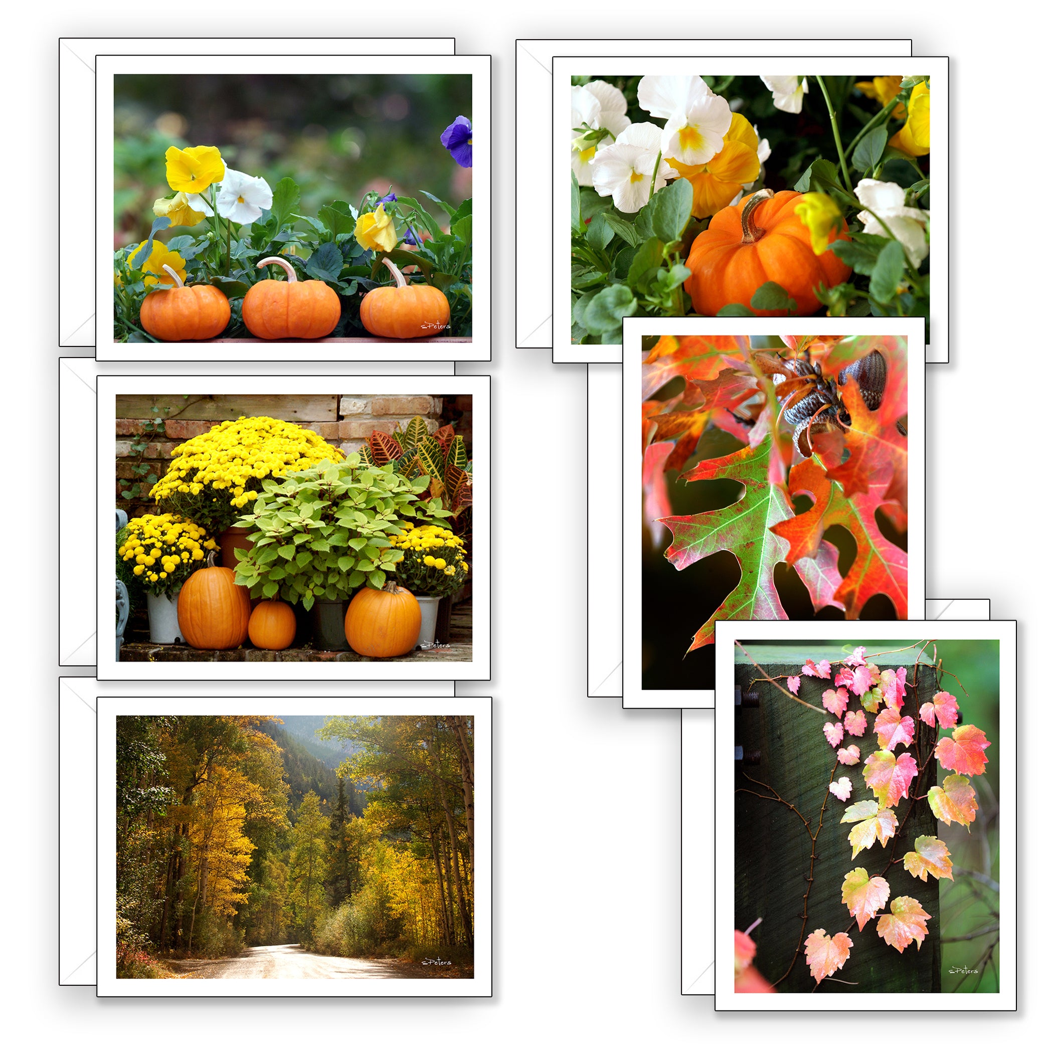 Fall Favorites Boxed Set