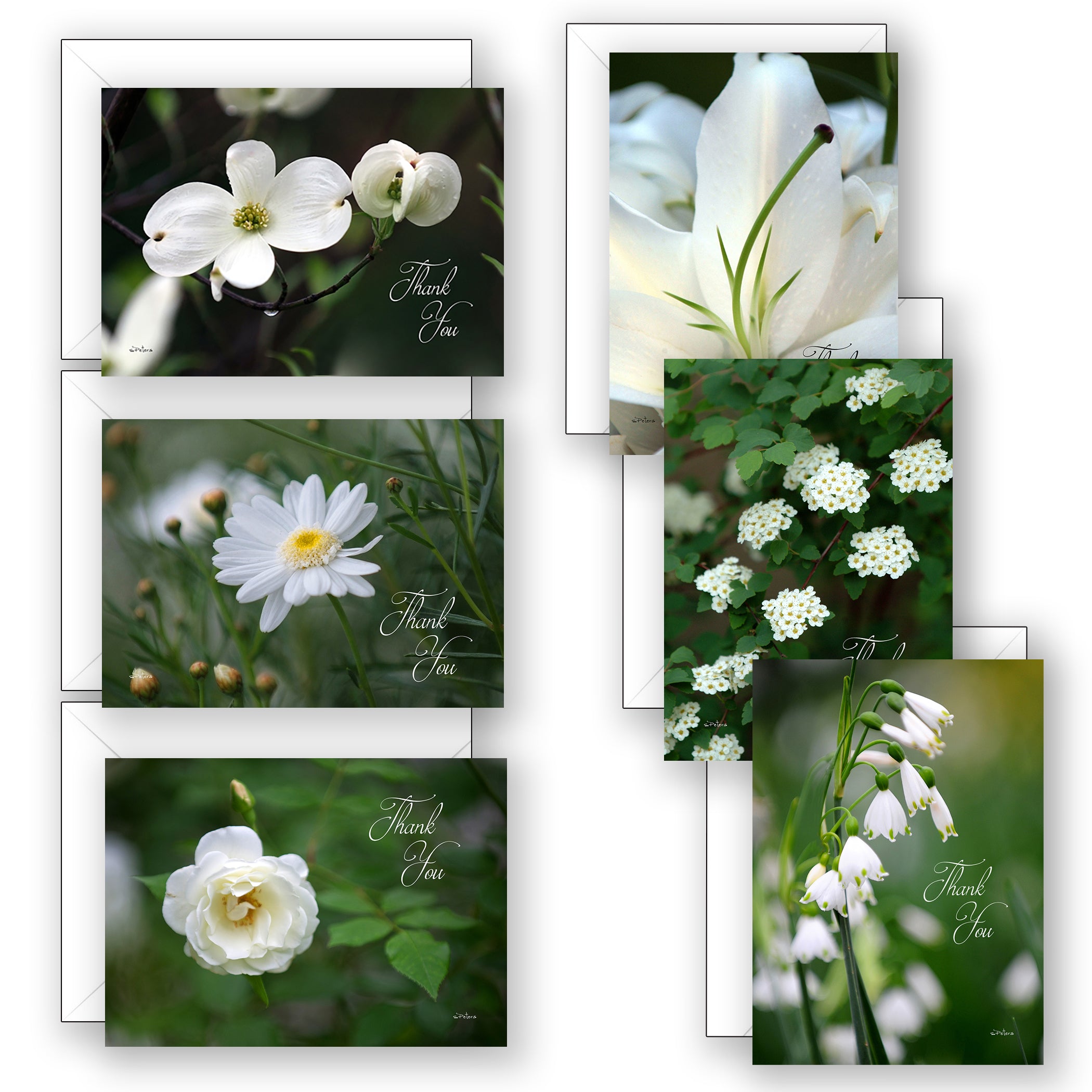 Garden Thank Yous Boxed Set
