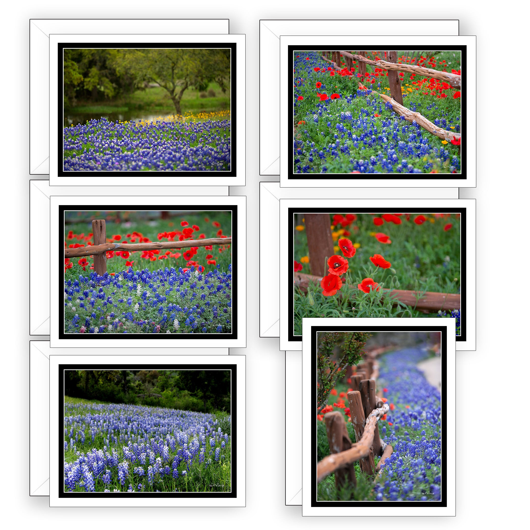 God Blessed Texas Boxed Set