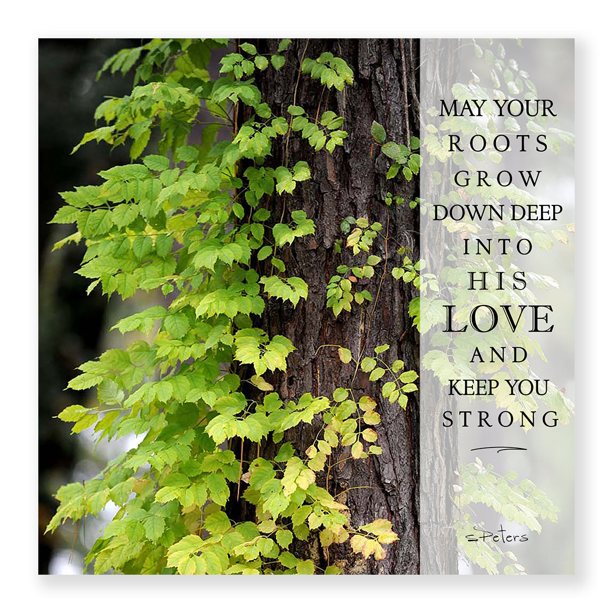 Green Grace - Mini Print – Bradbury Lane