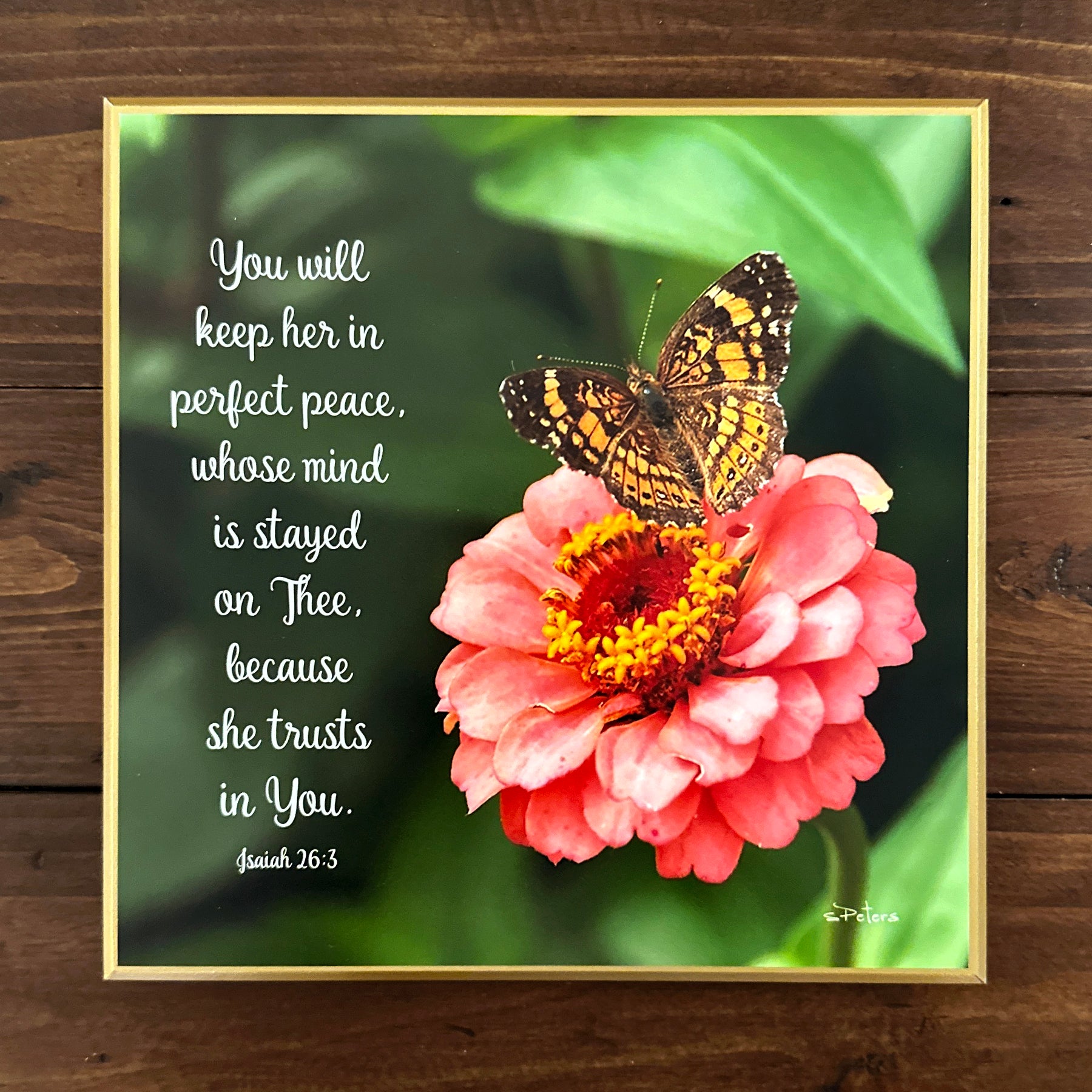 Georgia Butterfly- 8x8 Beveled Board