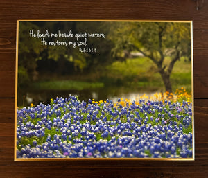 Bluebonnet Byway - 8x10 Beveled Board