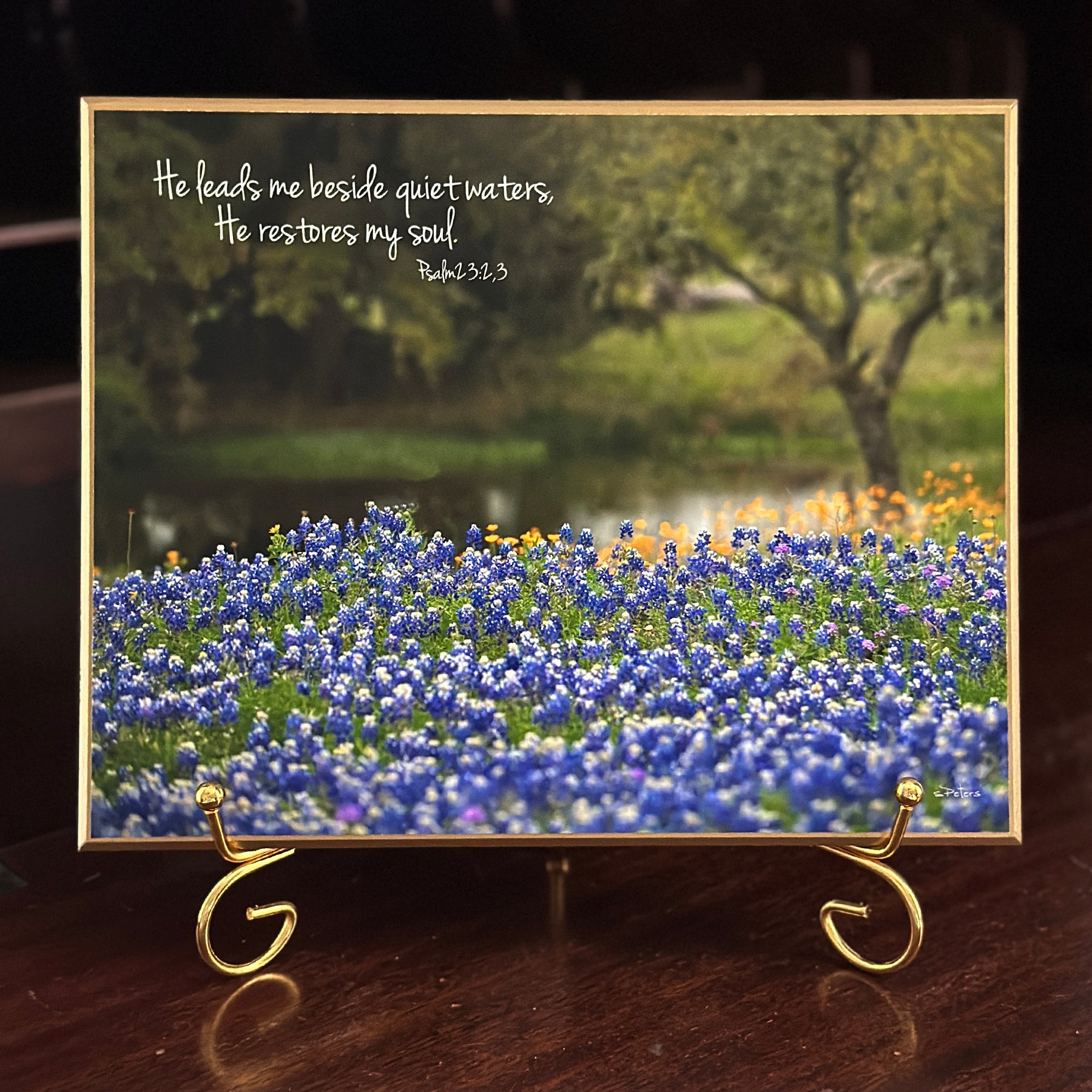 Bluebonnet Byway - 8x10 Beveled Board