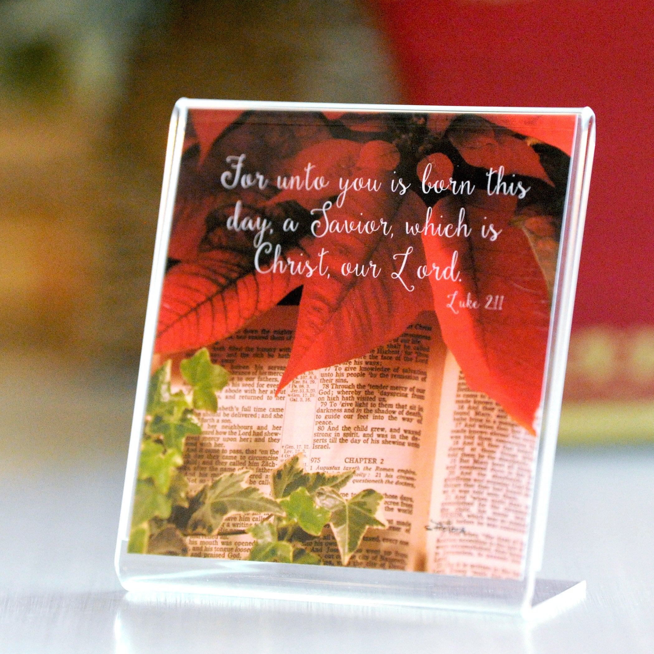 Luke 2 (Luke 2:11) - Framed Mini Print