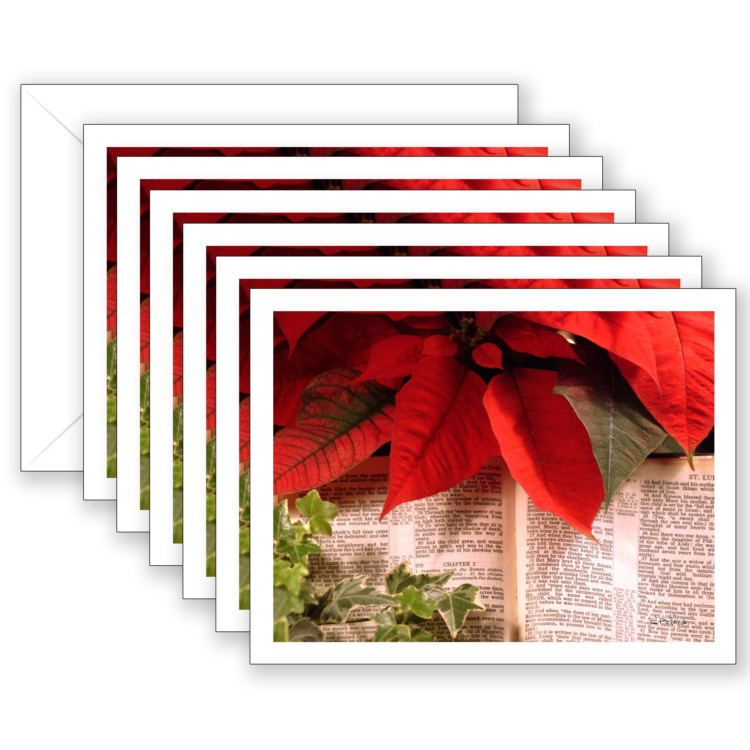 Luke 2 Boxed Set