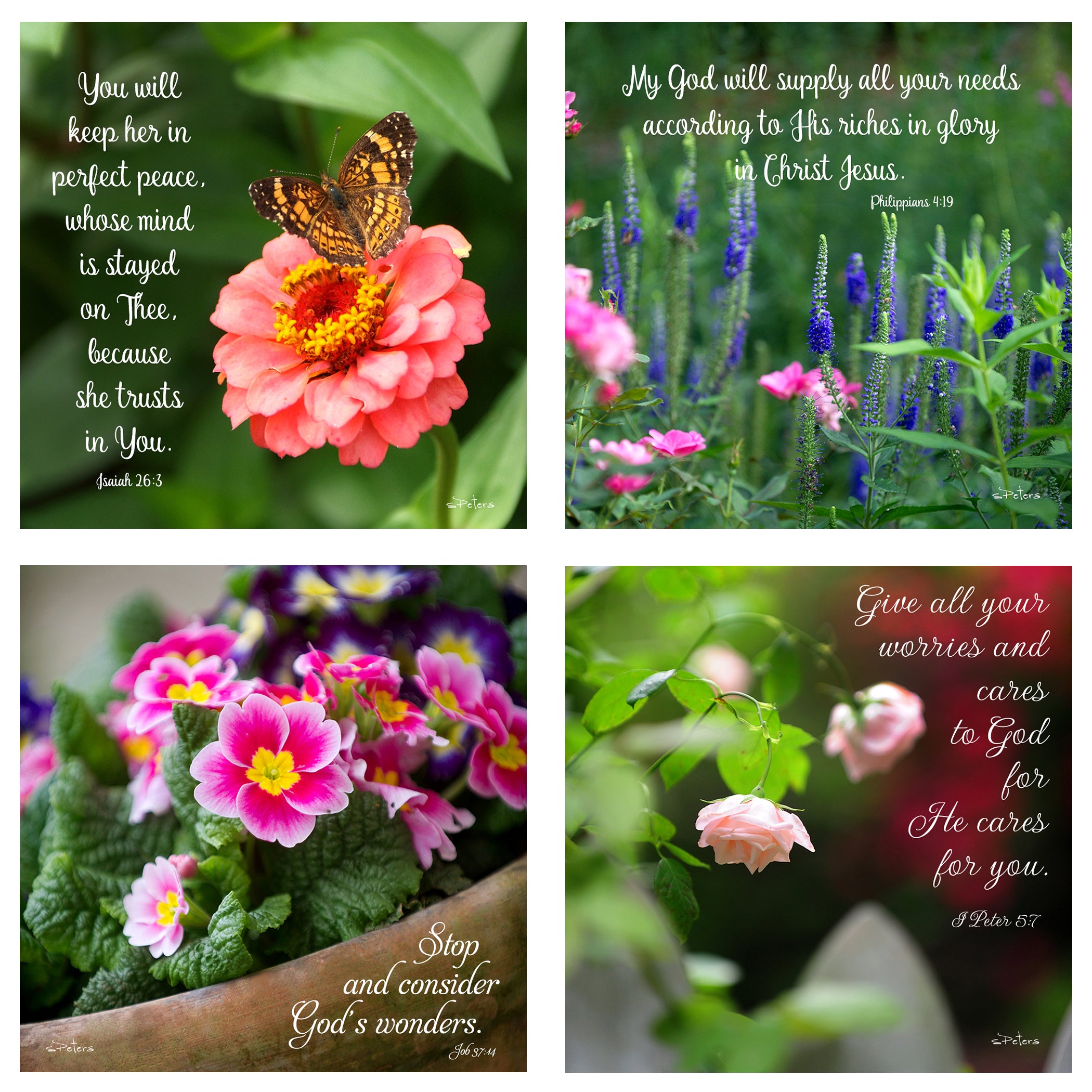 31 Days of Encouragement Boxed Mini Print Collection w Acrylic Holder