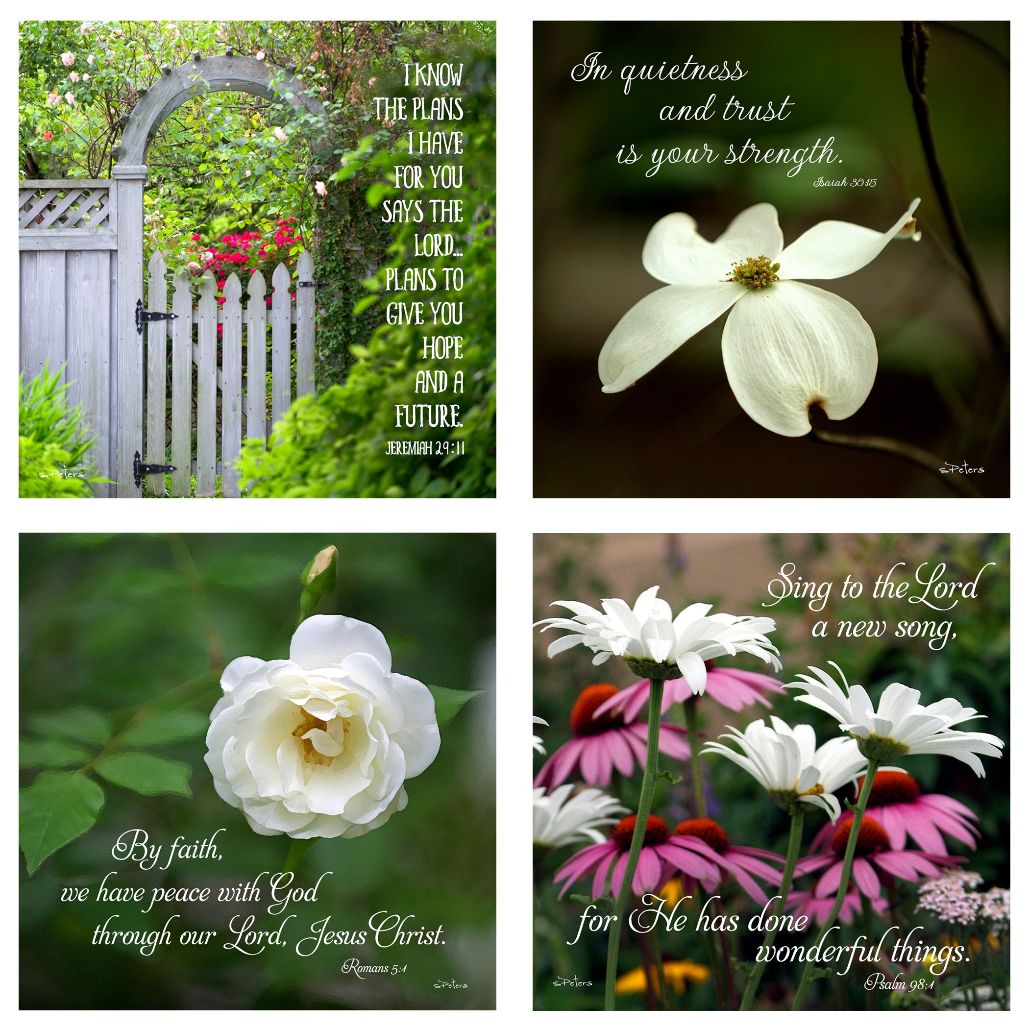 31 Days of Encouragement Boxed Mini Print Collection w Acrylic Holder