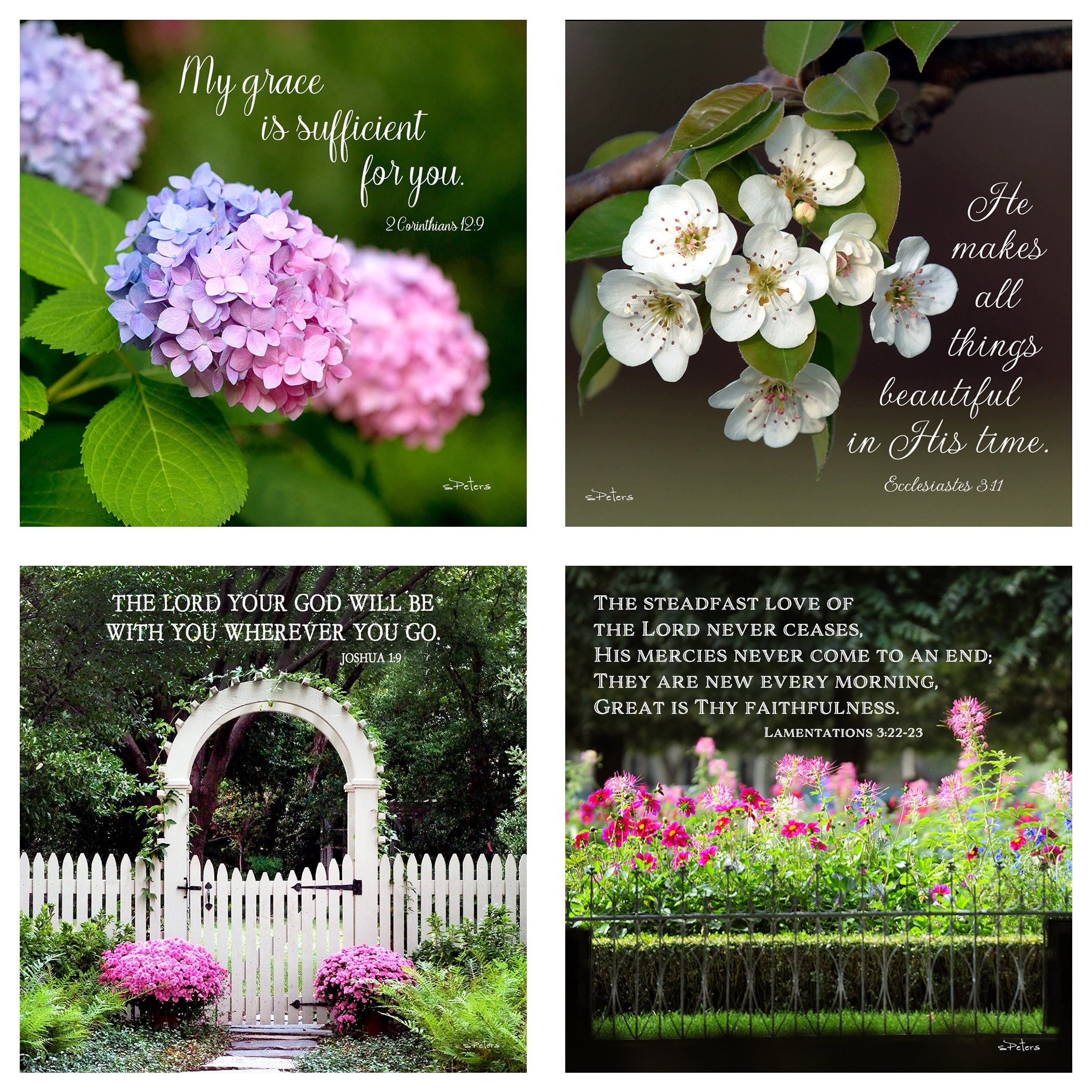 31 Days of Encouragement Boxed Mini Print Collection w Acrylic Holder