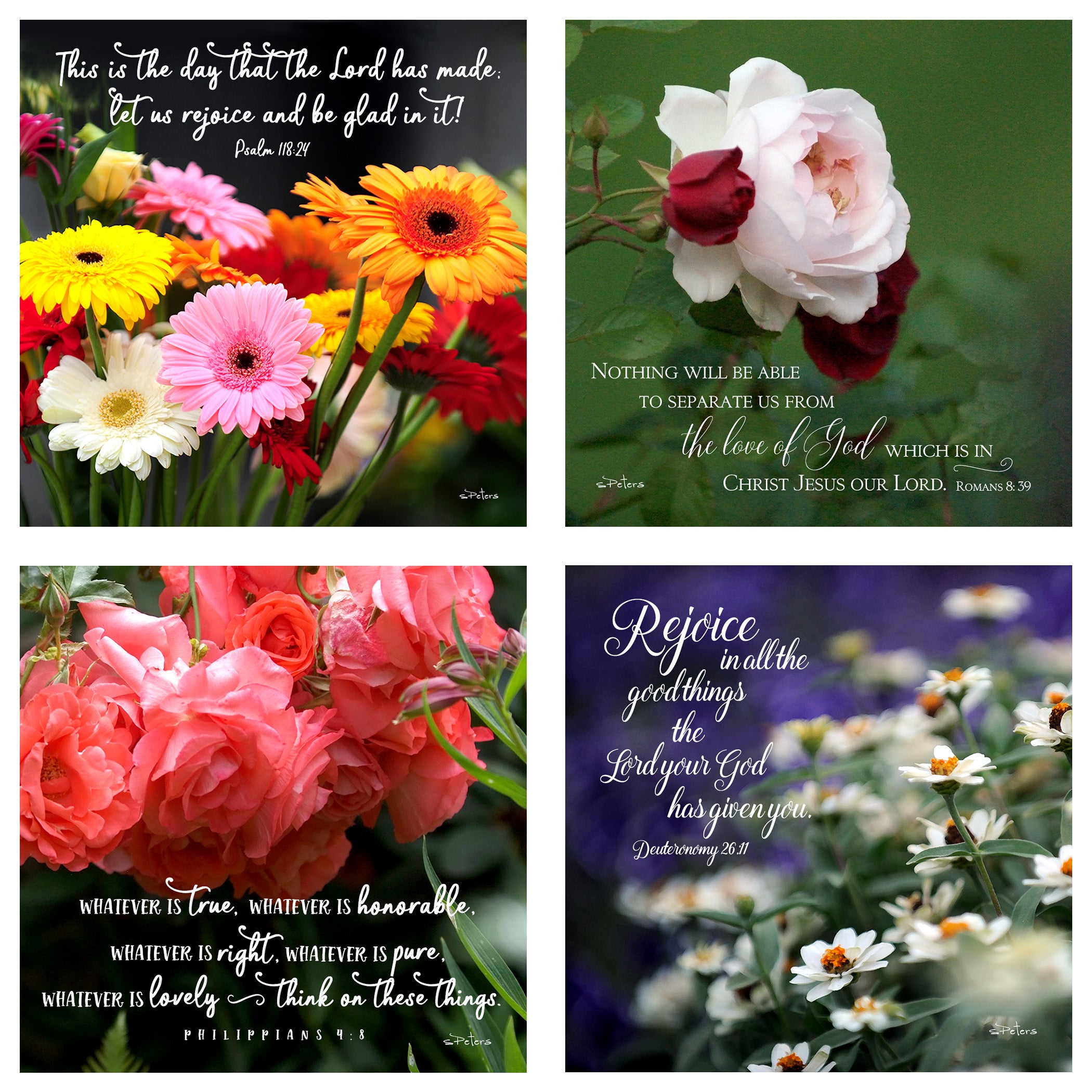 31 Days of Encouragement Boxed Mini Print Collection w Acrylic Holder