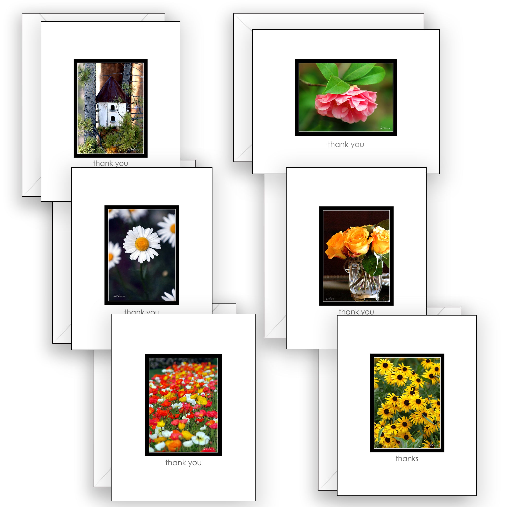 Mini Moments Thank You - Boxed Notecard Collection