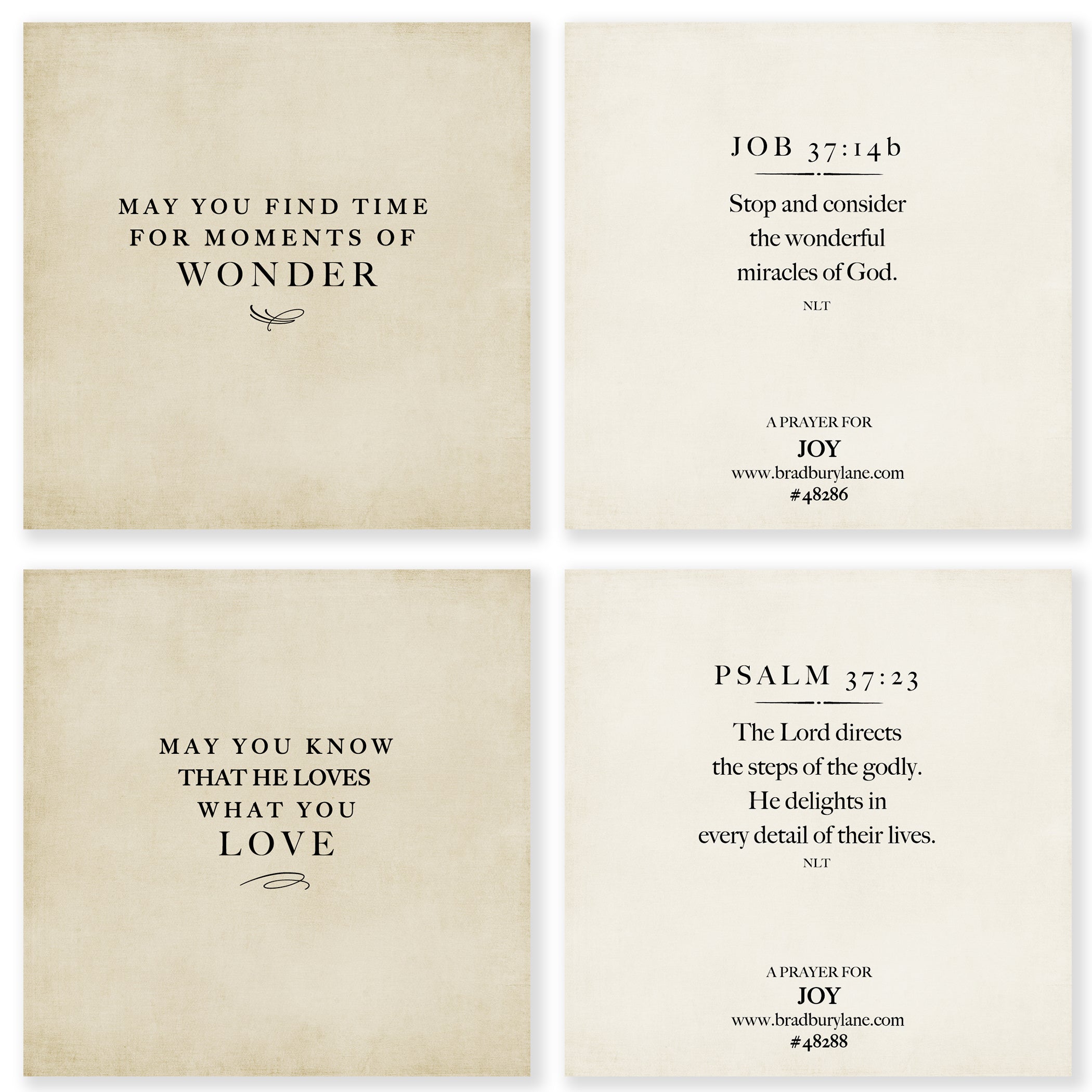 31 Days of Prayers for You Boxed Mini Print Collection (Version 2) w/Acrylic Holder