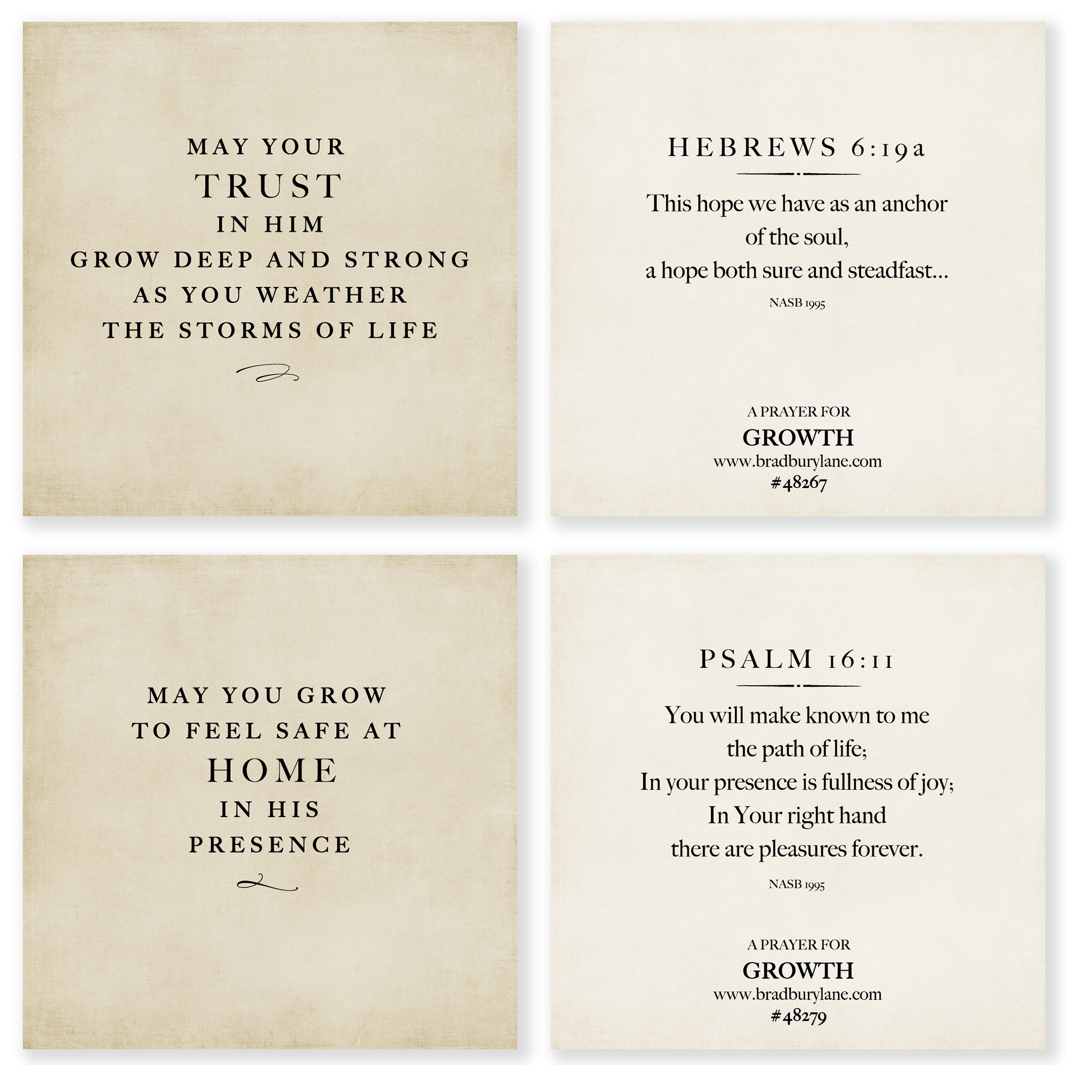 31 Days of Prayers for You Boxed Mini Print Collection at the Lake w/ Acrylic Holder