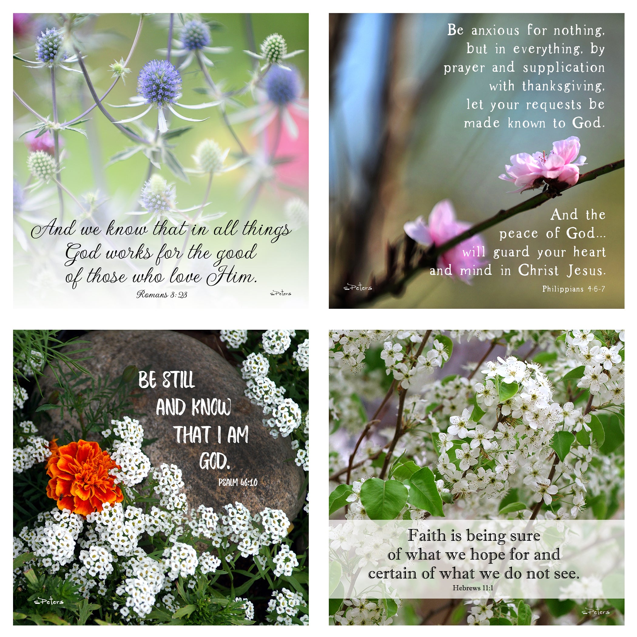 31 Days of Encouragement Boxed Mini Print Collection w Acrylic Holder