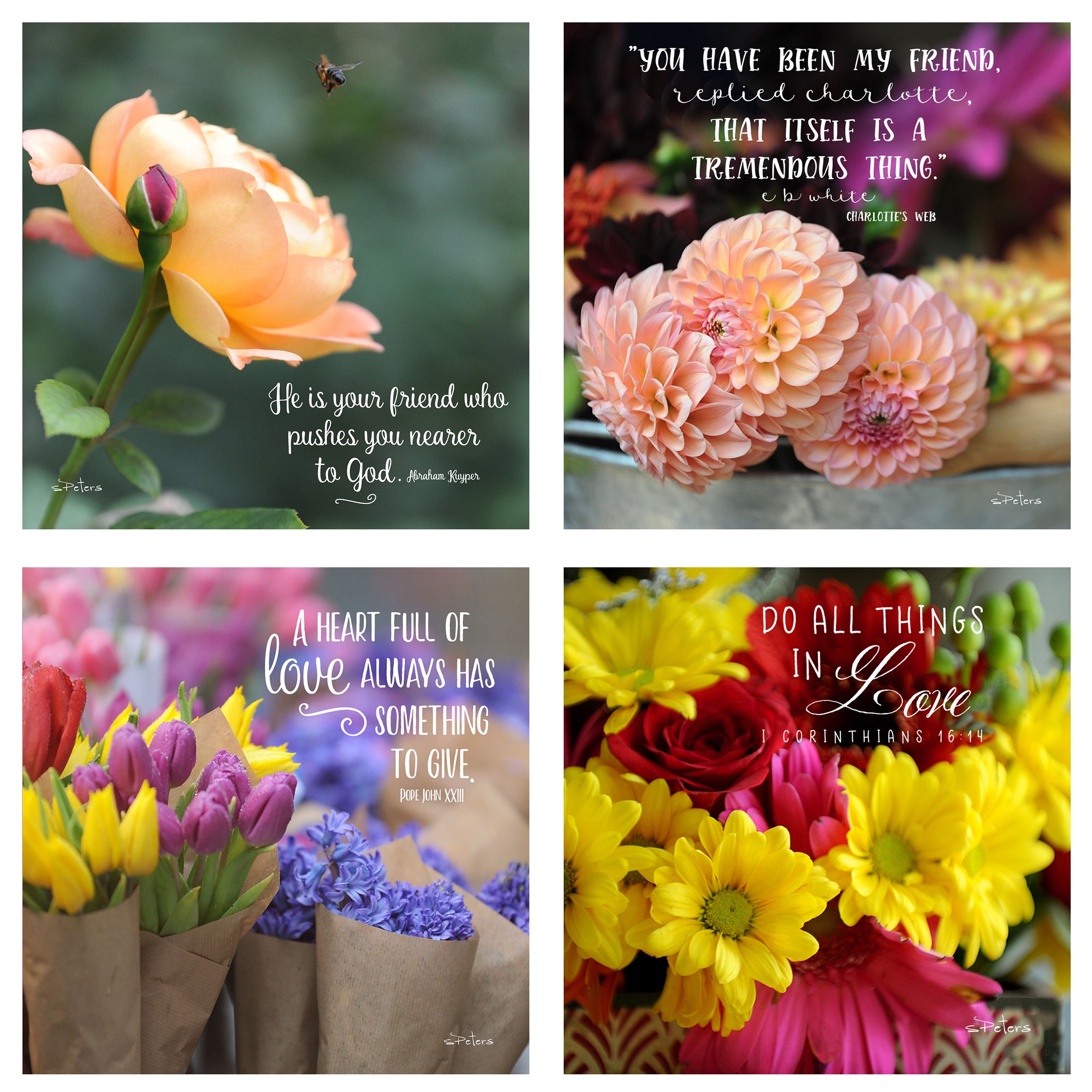 31 Days of Love & Friendship Boxed Mini Print Collection w Acrylic Holder