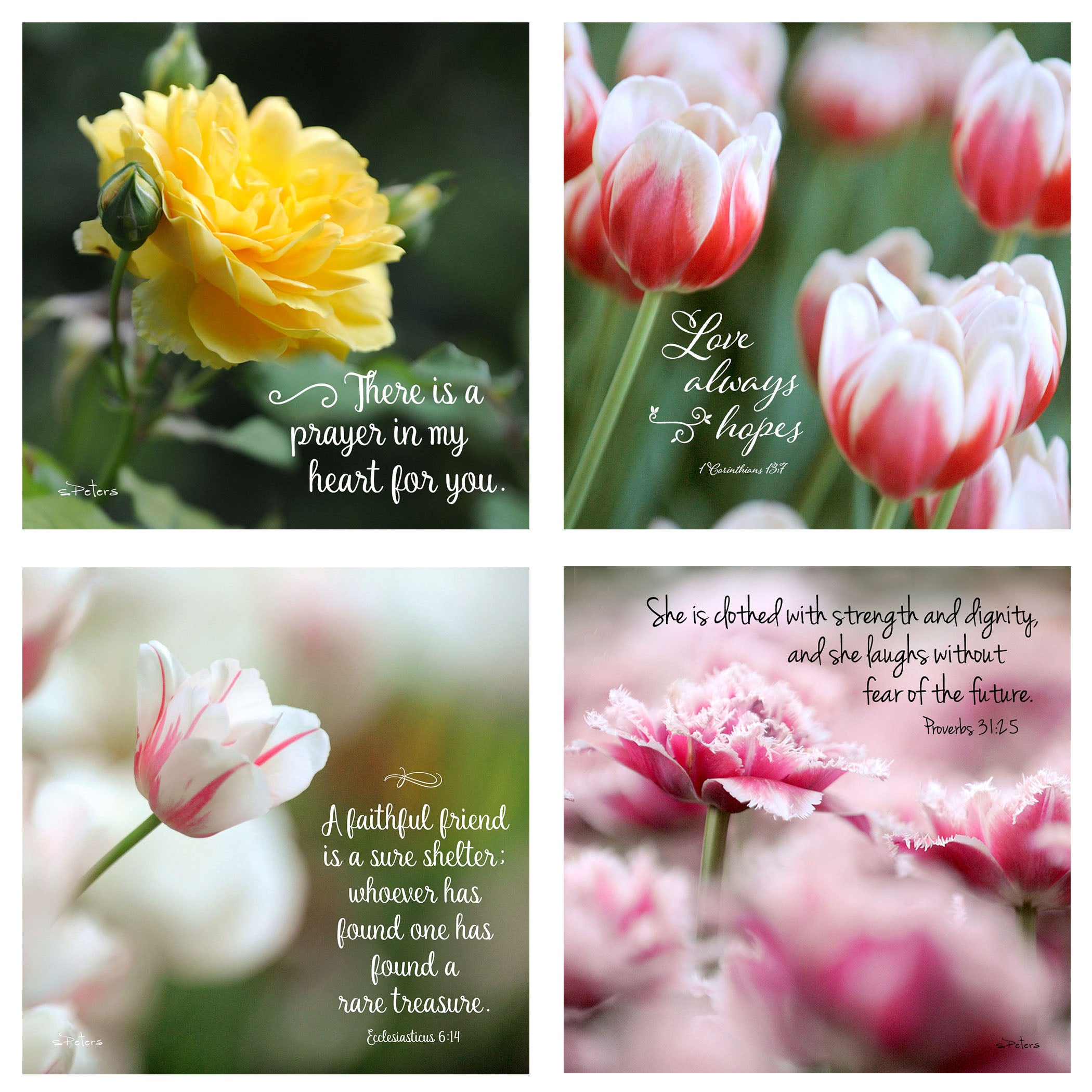 31 Days of Love & Friendship Boxed Mini Print Collection w Acrylic Holder