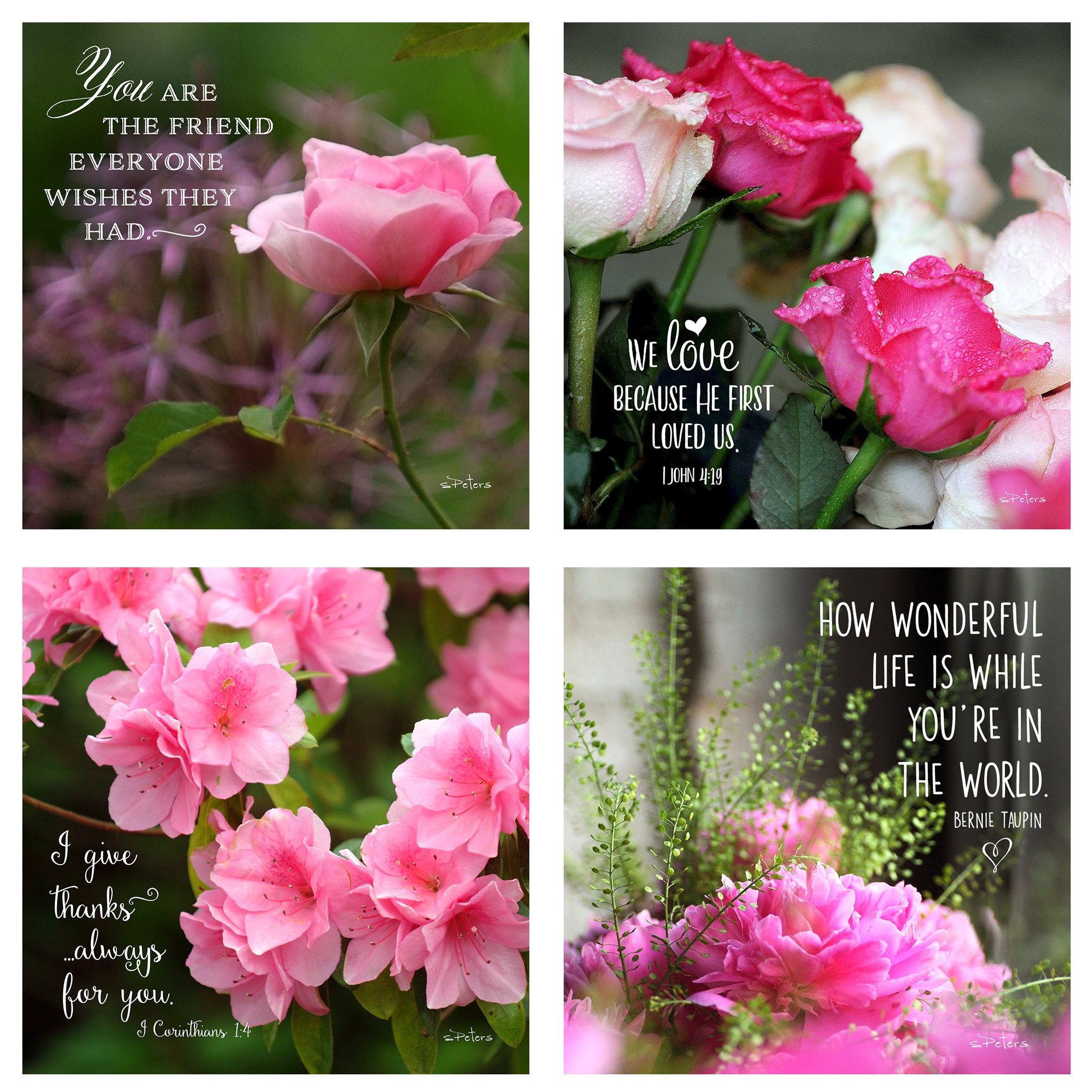 31 Days of Love & Friendship Boxed Mini Print Collection w Acrylic Holder