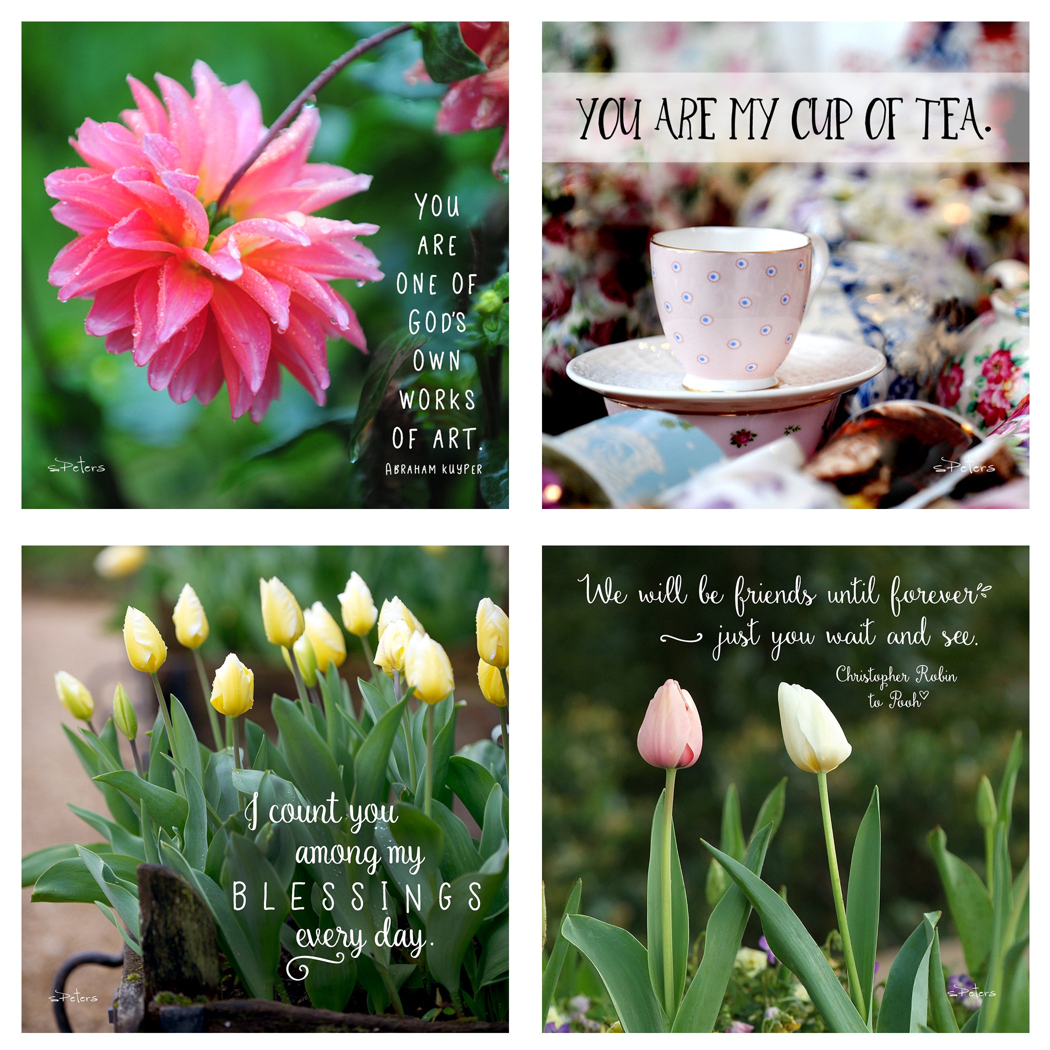 31 Days of Love & Friendship Boxed Mini Print Collection w Acrylic Holder