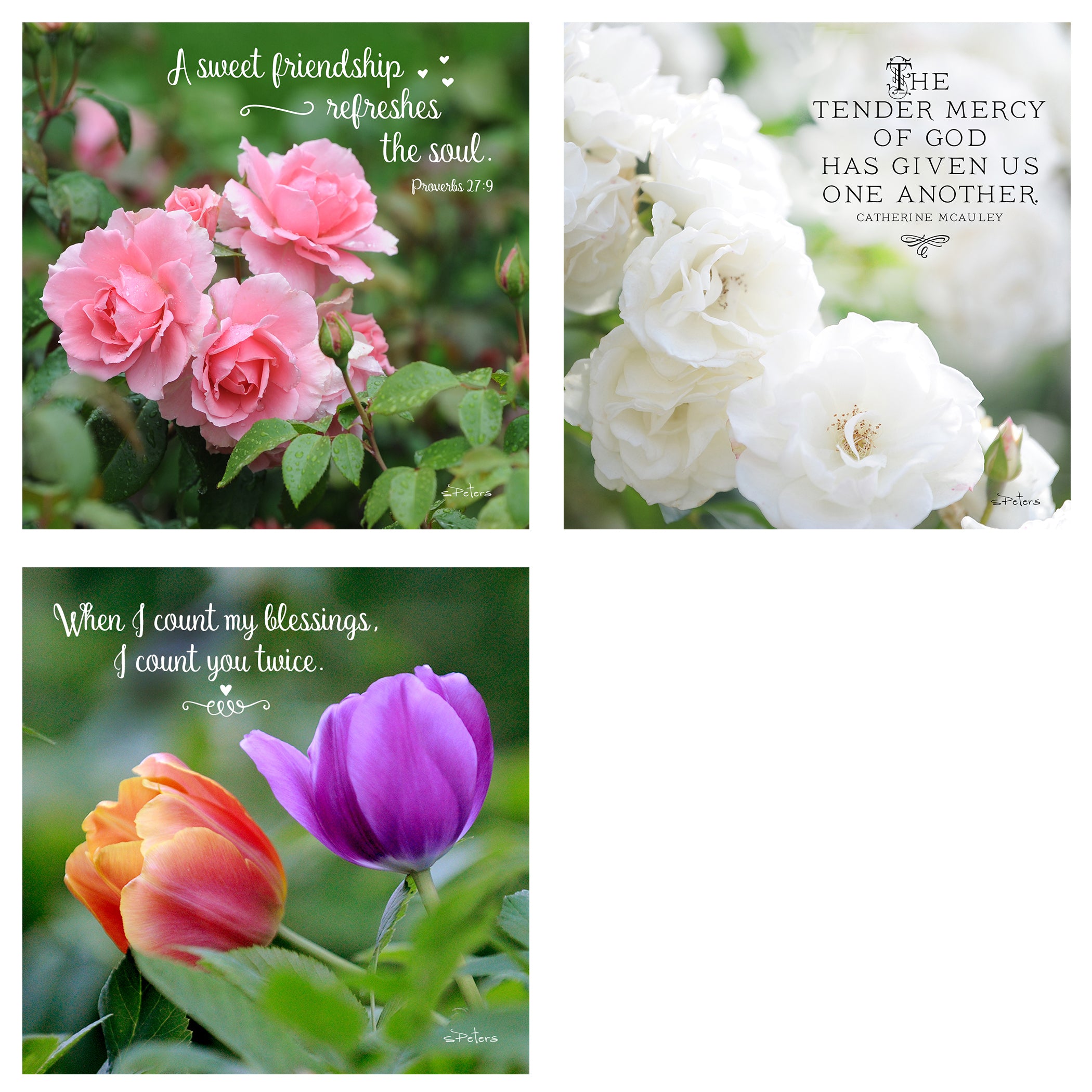 31 Days of Love & Friendship Boxed Mini Print Collection w Acrylic Holder