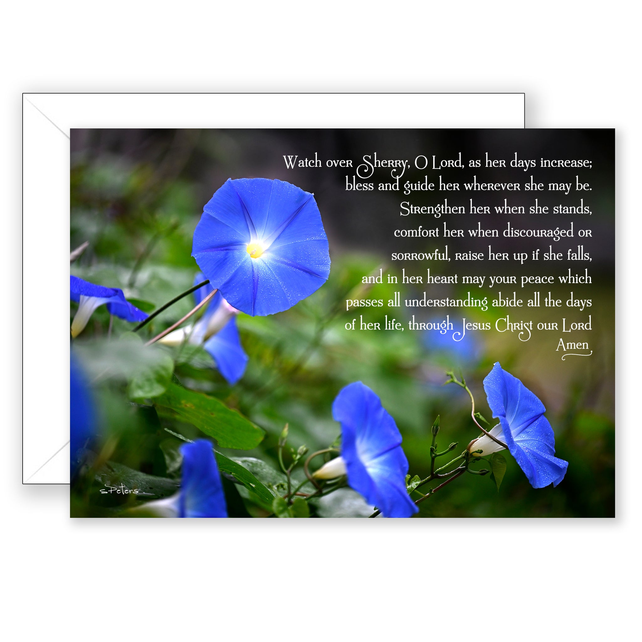 NEW! Morning Glory Mornings – Bradbury Lane