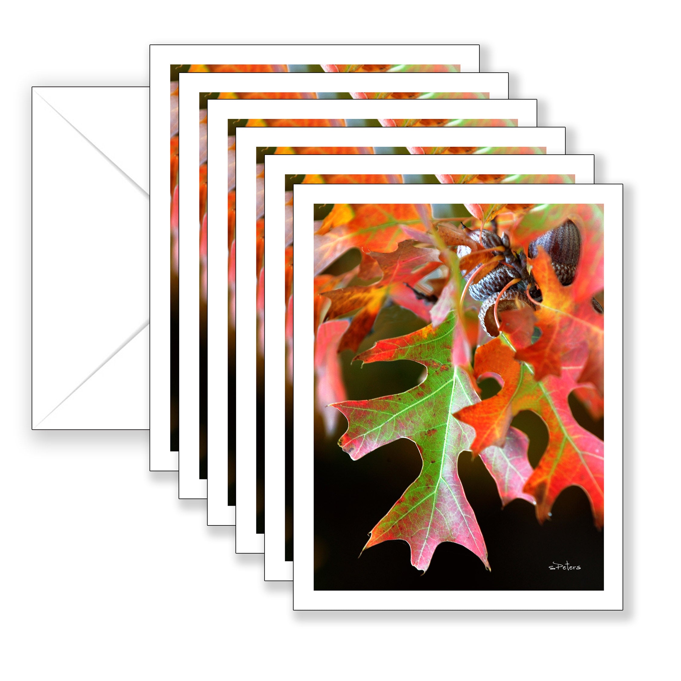 Oak Leaf in Autumn Boxed Set