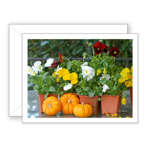 Pansies and Pumpkins - Blank Art Card