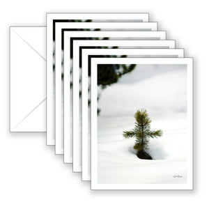 Pine Cross Boxed Set