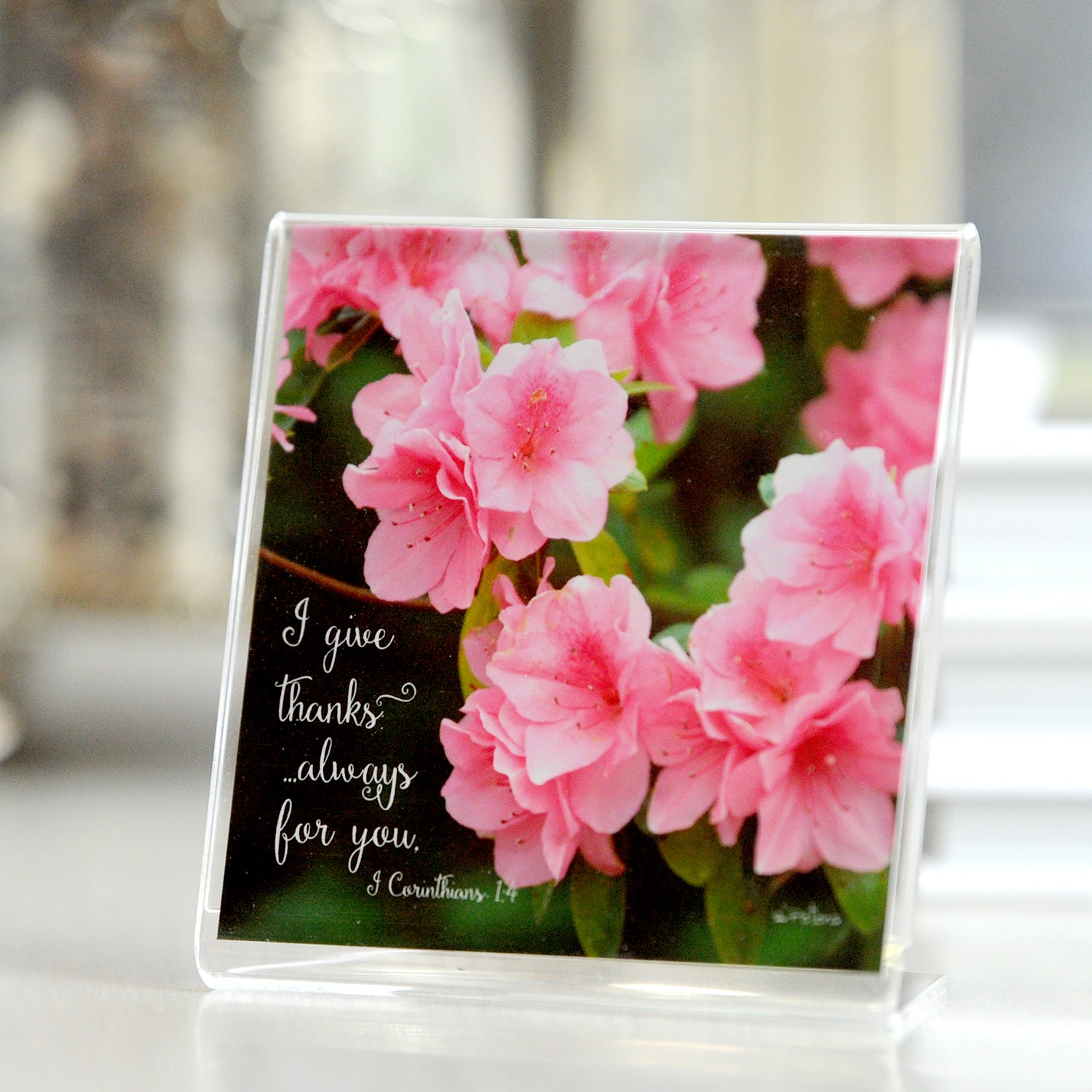 Pink Ruffles (1 Corinthians 1:4) - Framed Mini Print