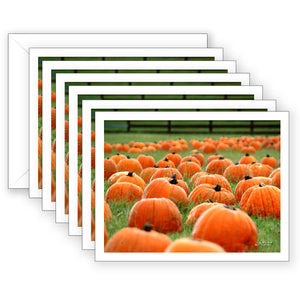 Pumpkin Patch Boxed Notecard Collection