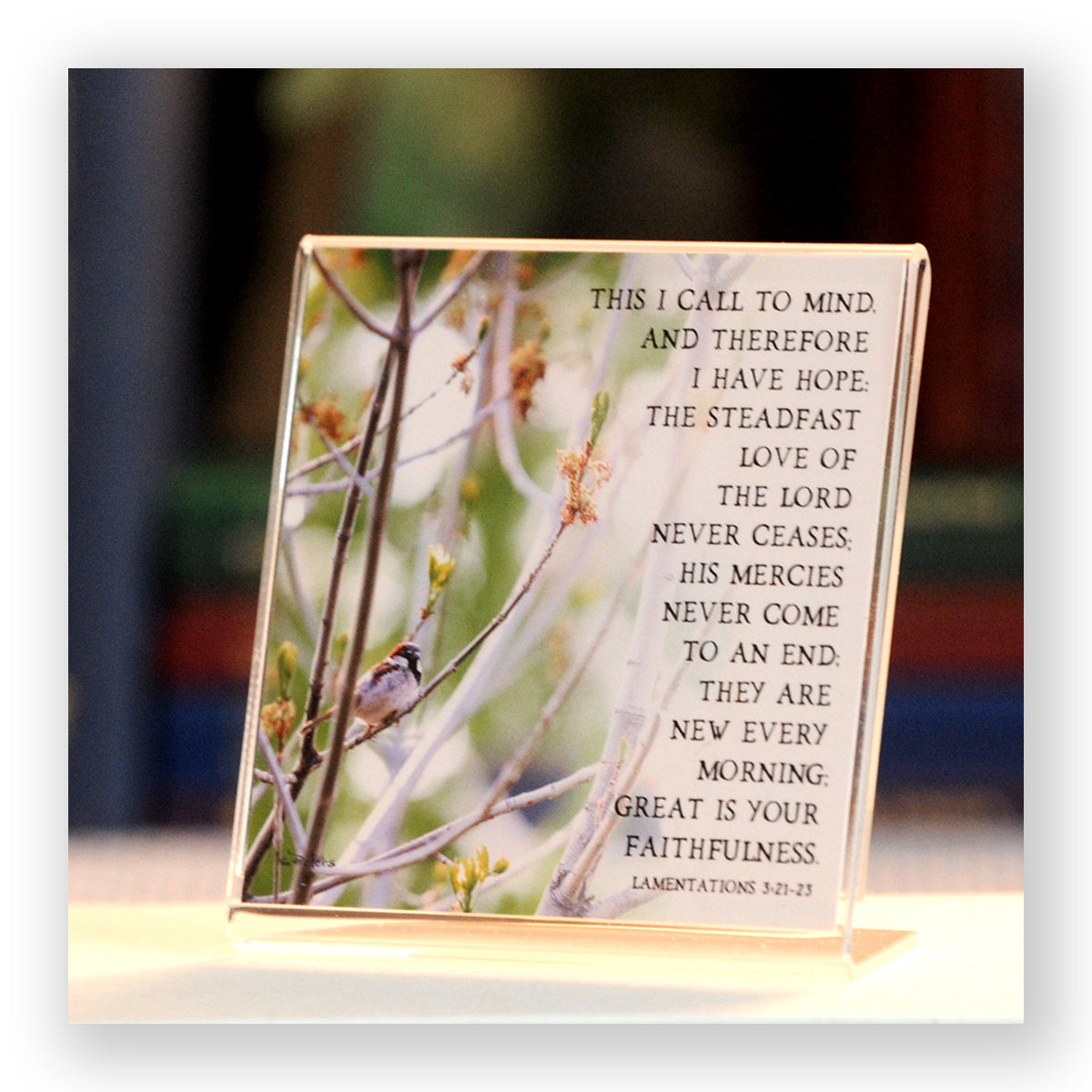 Spring Prayer (Lam 3:21-23) - Framed Mini Print