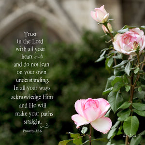 The Roses of Notre Dame (Proverbs 3:5-6) 5x5 Print