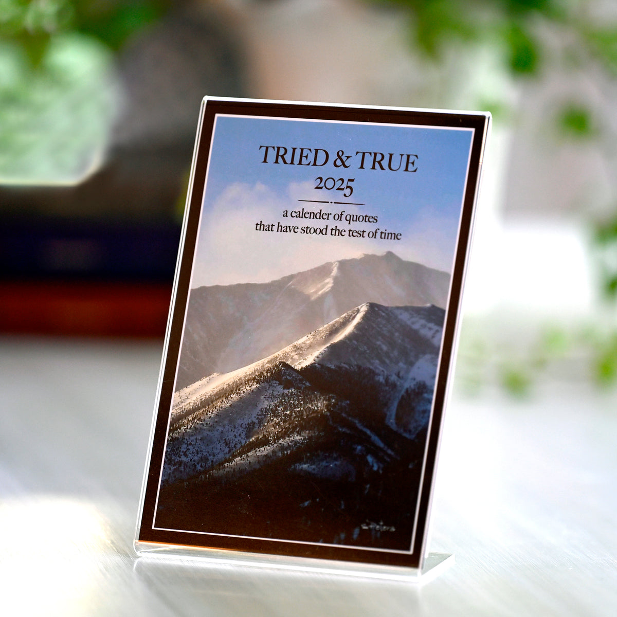 2025 Tried and True Calendar with 5x7 Acrylic Frame – Bradbury Lane