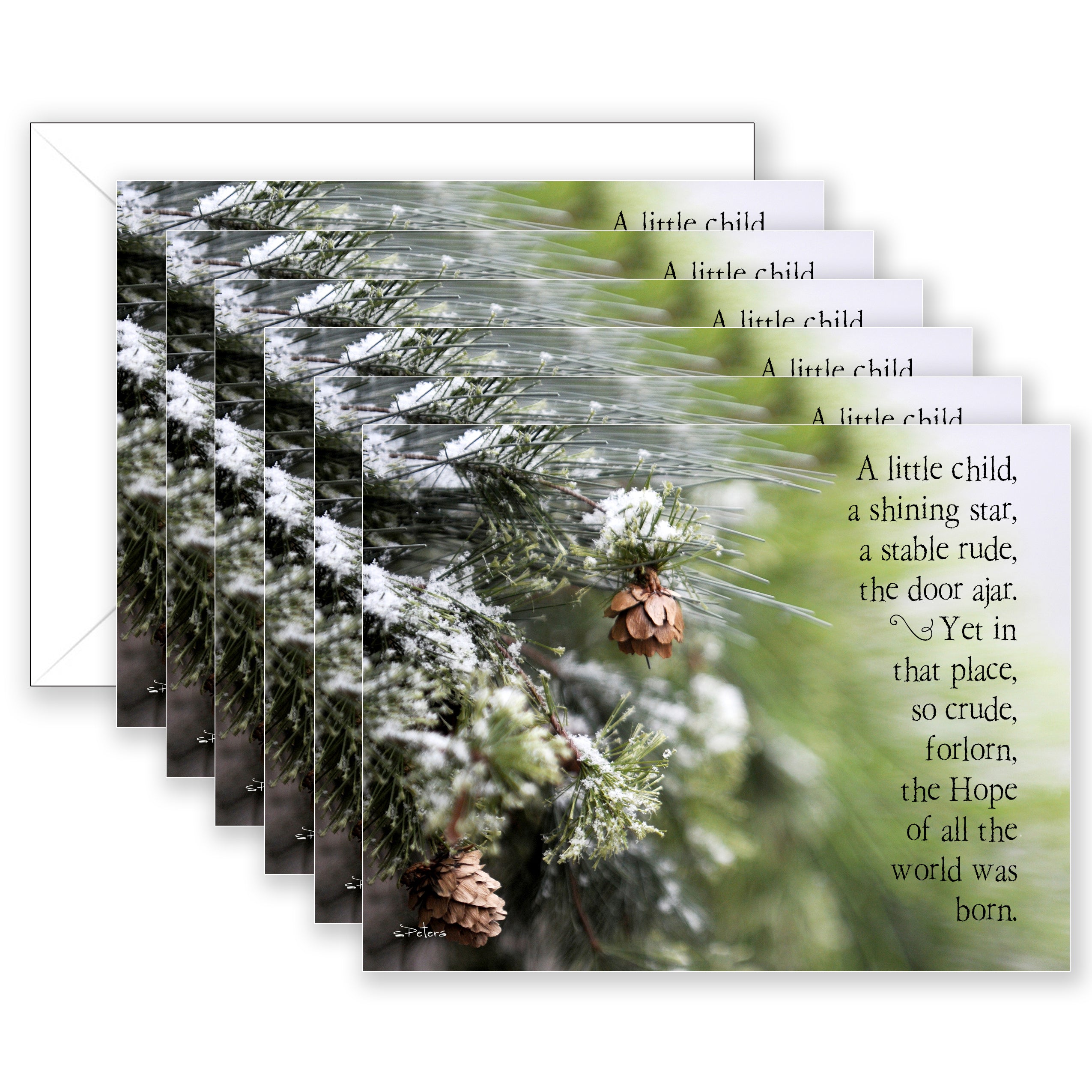 Winter Wonder Christmas Card Boxed Set