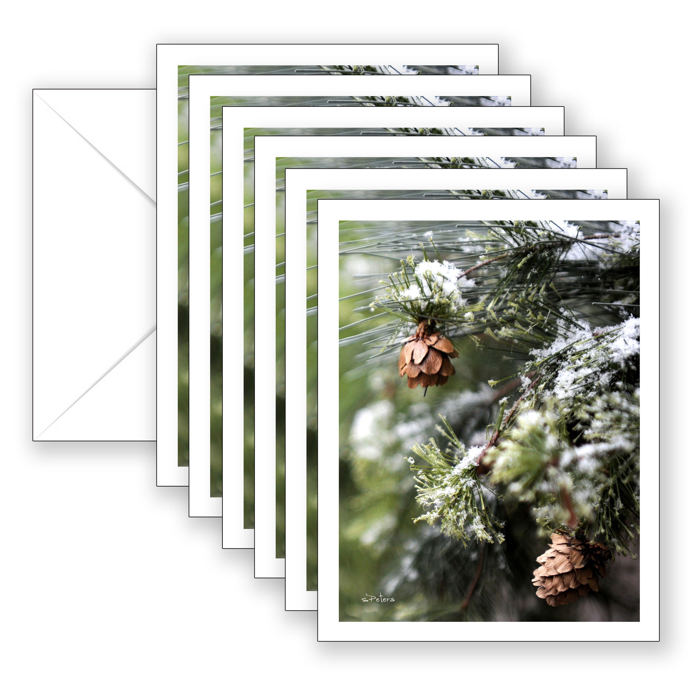 Winter Wonder Blank Art Card Boxed Set