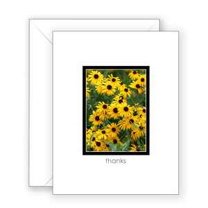 Wheaton Black-Eyed Susans - Thank You Card