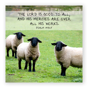 Psalm 145:09 - Shabby Sheep - Mini Print