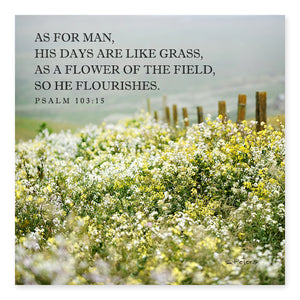 Psalm 103:15 - Flowers of the Field - Mini Print