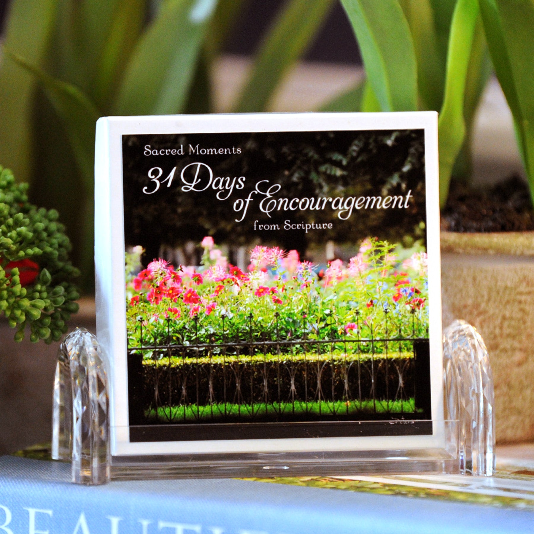 31 Days of Encouragement Boxed Mini Print Collection with Acrylic Holder