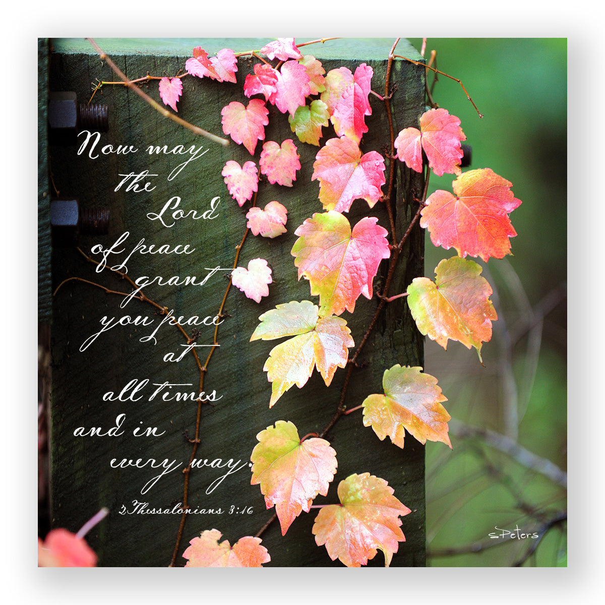 Autumn Cascade (2 Thessalonians 3:16) - Frameable Print