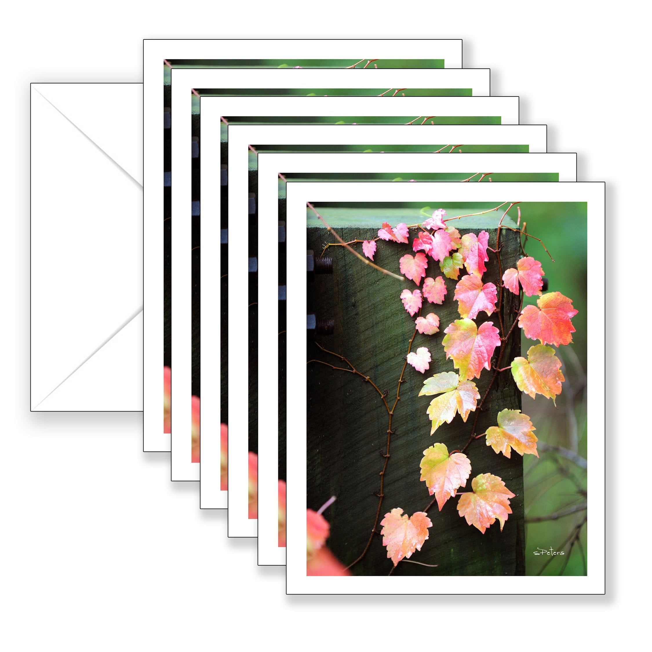 Autumn Cascade Boxed Notecard Collection