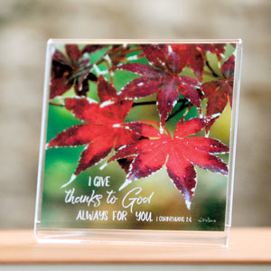 Autumn Color (I Corinthians 1:4) - Framed Mini Print