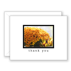 Autumn Gold - Thank You Card
