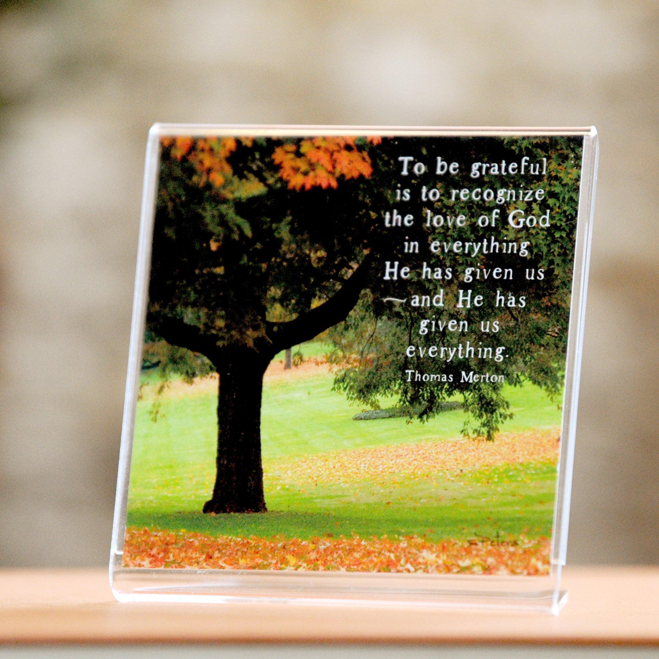 Autumn Grove - Framed Mini Print