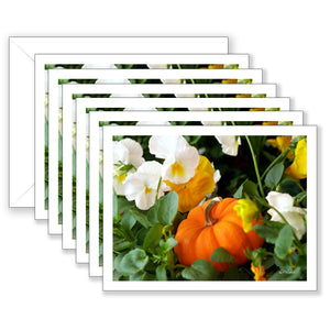 Baby Pumpkin Boxed Notecard Collection