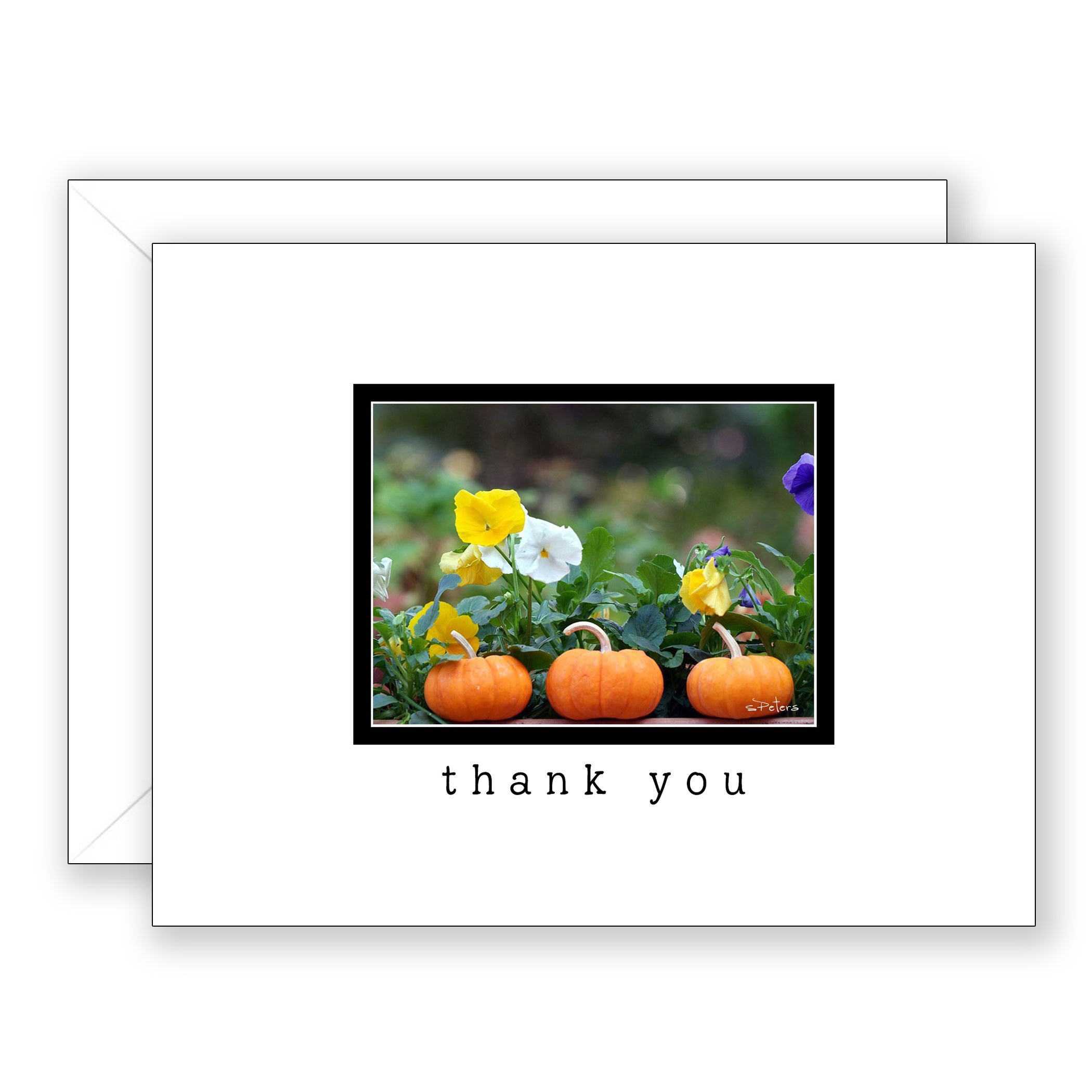 Baby Pumpkin Trio - Thank You Card